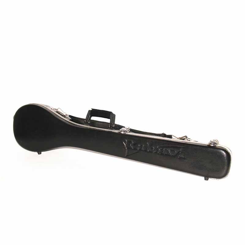 هاردکیس abs رهاوی سه تار