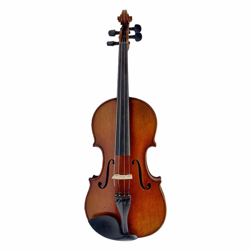 ویولا V925 c.l.w.y.n. آلتو 15.7 اینچ