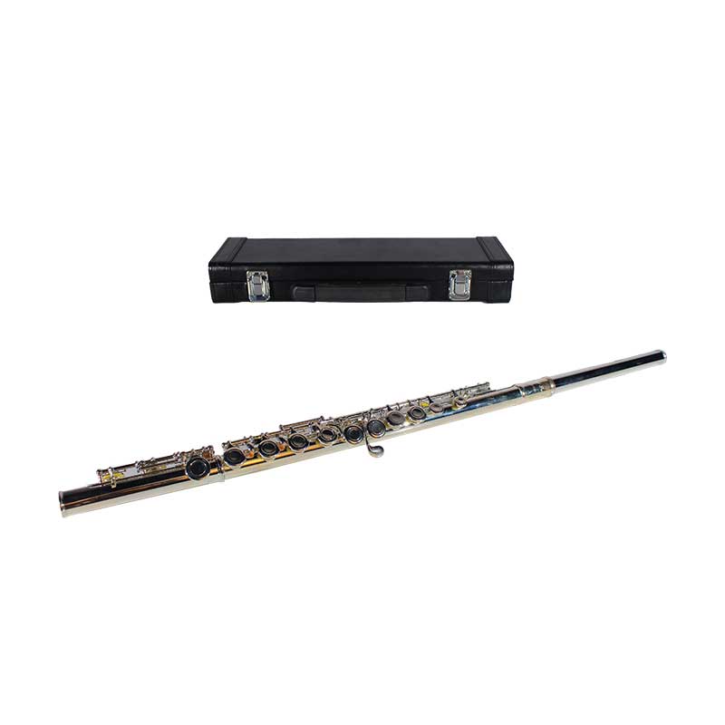 فلوت کلید دار BF-308seu best fun