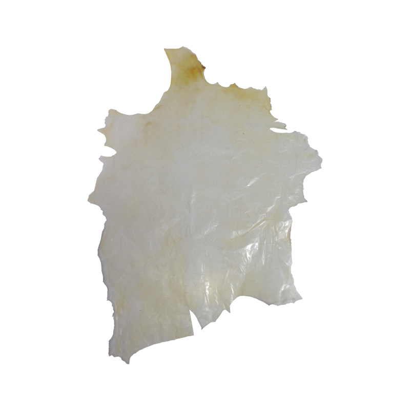 پوست تار ایرانی دیافراگم متوسط