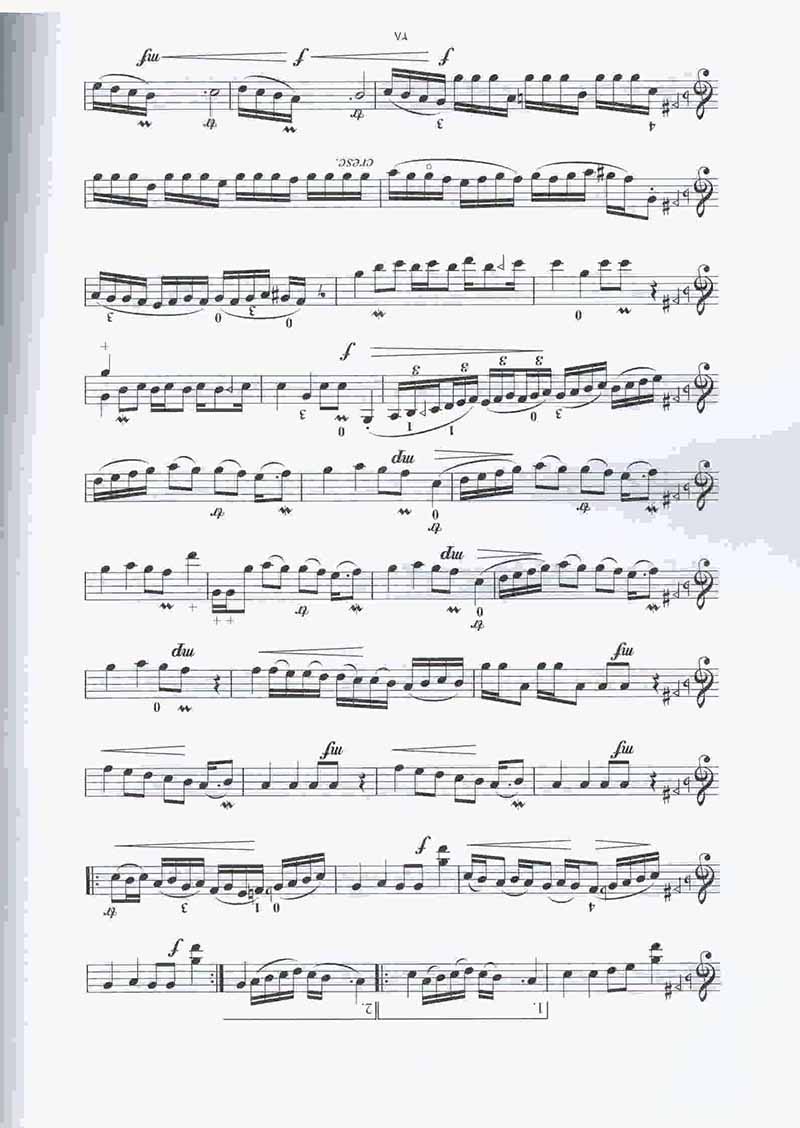 هنا نشر مانوش