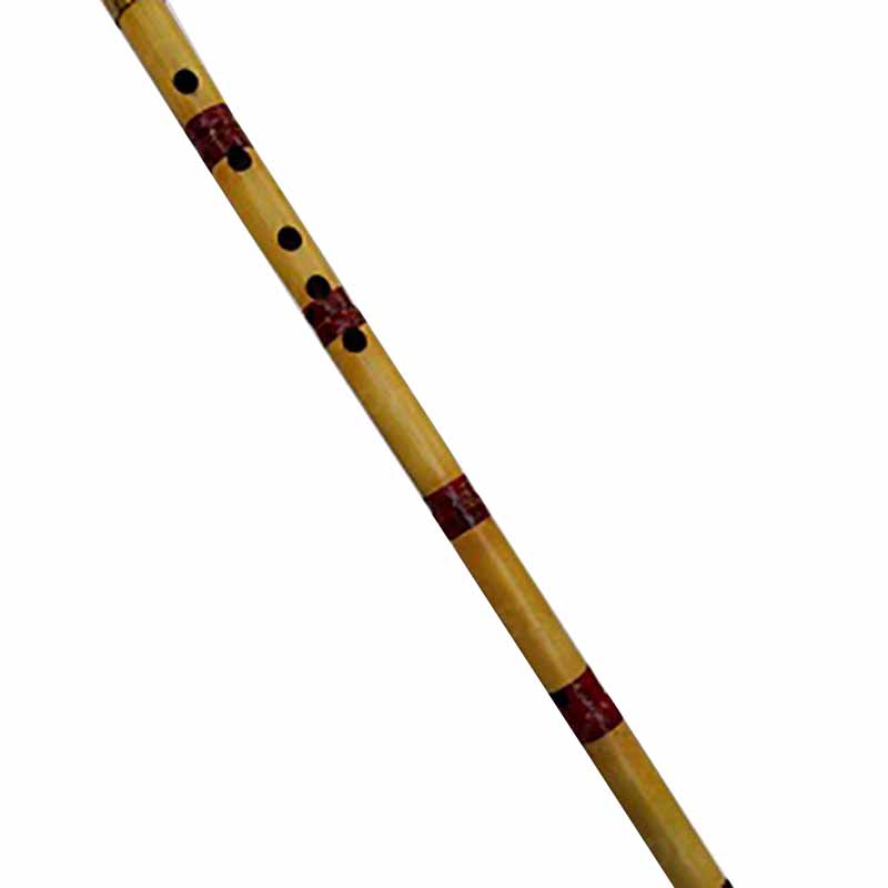 نی سل کوک یک مهر شهری