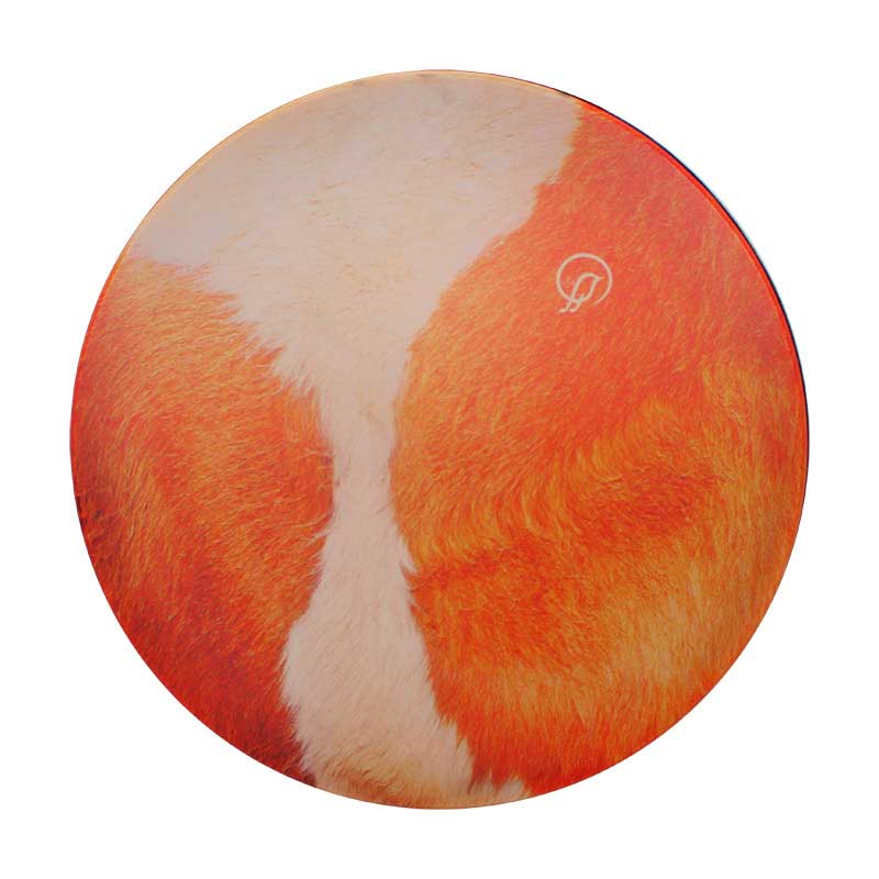 دف هراز رویال 4/4