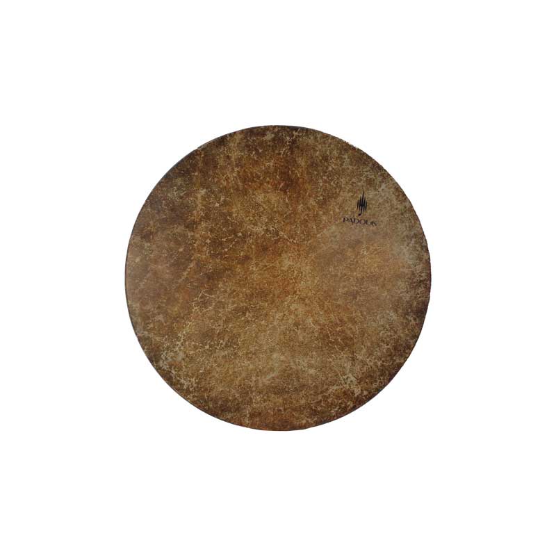 دف پادوک کوکی 4/4