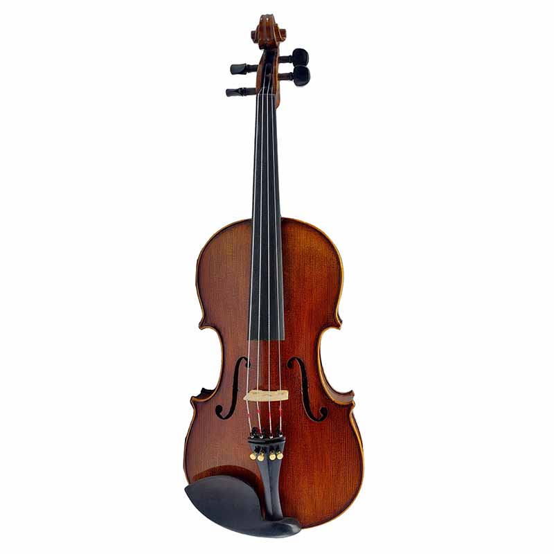 ویولا 600 کافینو 15.5 اینچ