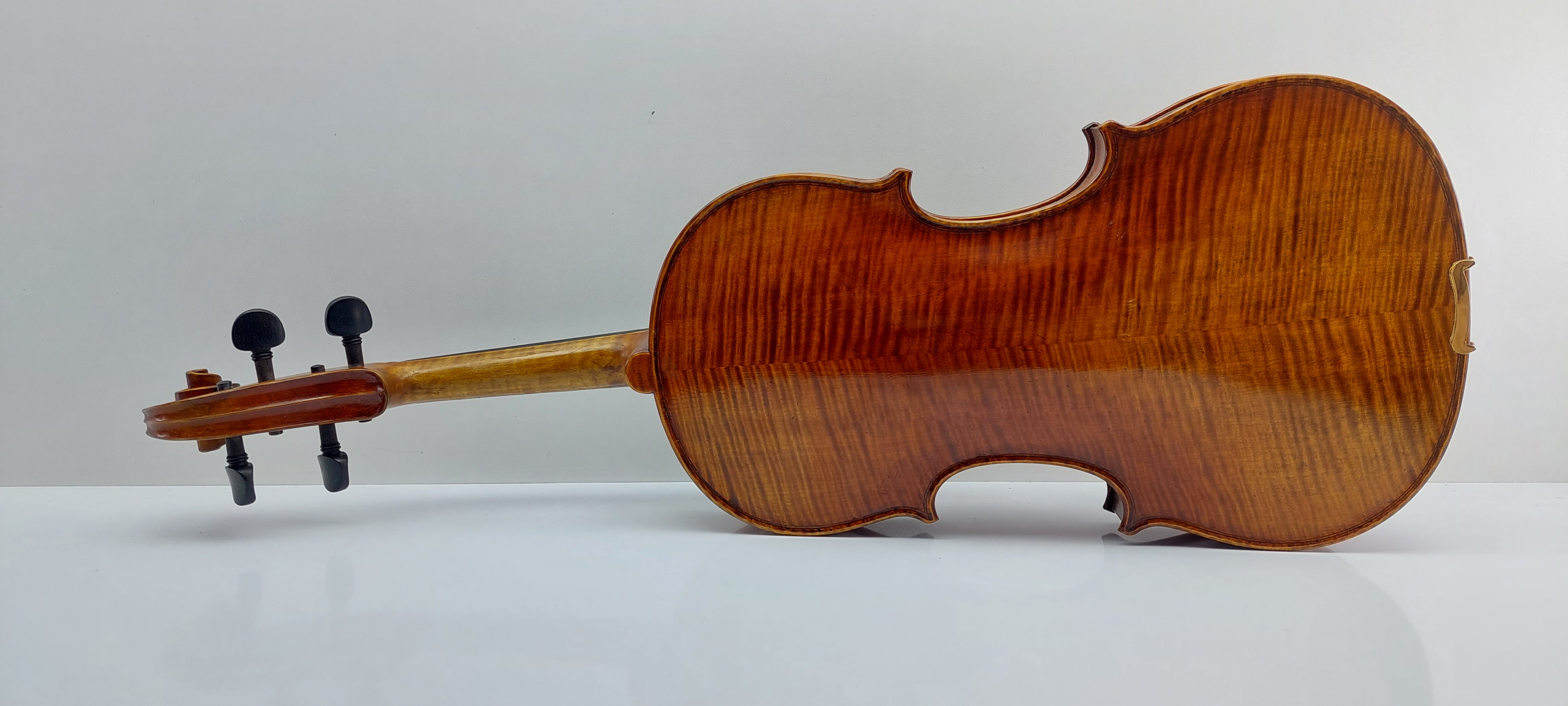 ویولا V925 c.l.w.y.n. آلتو 15.7 اینچ