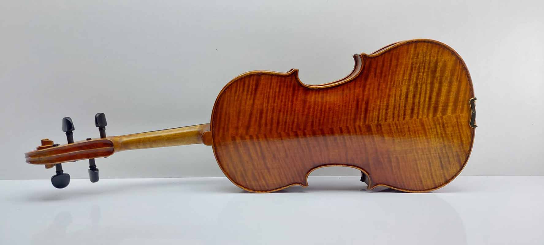 ویولا PA200 clemens 16 اینچ