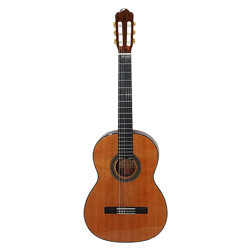 گیتار کلاسیک ak30 Aria کلاسیک 4/4