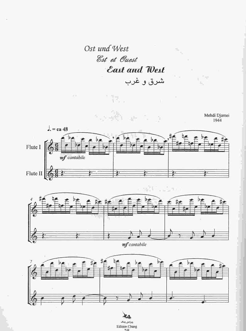 آتش نشر چنگ