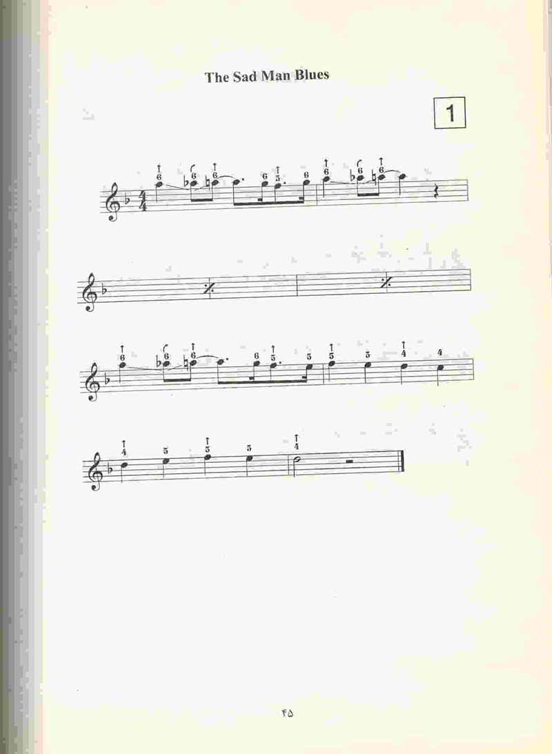 خود آموزسازدهنی دیاتونیک ده سوراخ (جلد سوم)	 نشر سرود