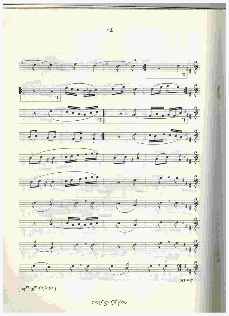  نوای نی  نشر چکاد هنر