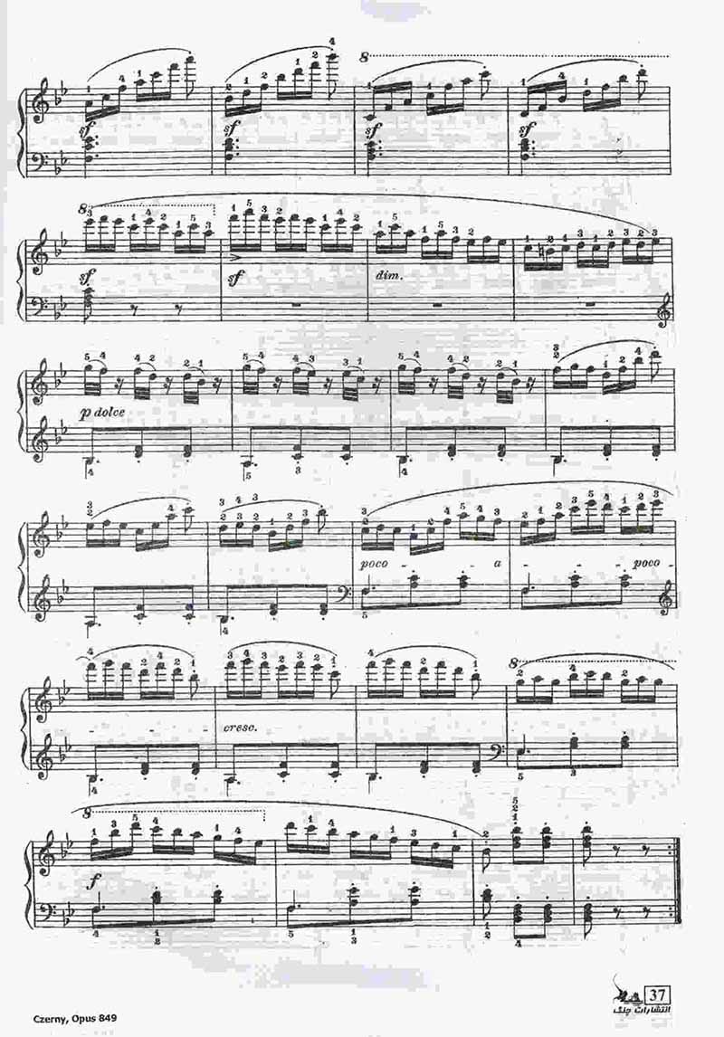  کارل چرنی اپوس 849 - 30 اتود در تکنیک پیانو نشر چنگ
