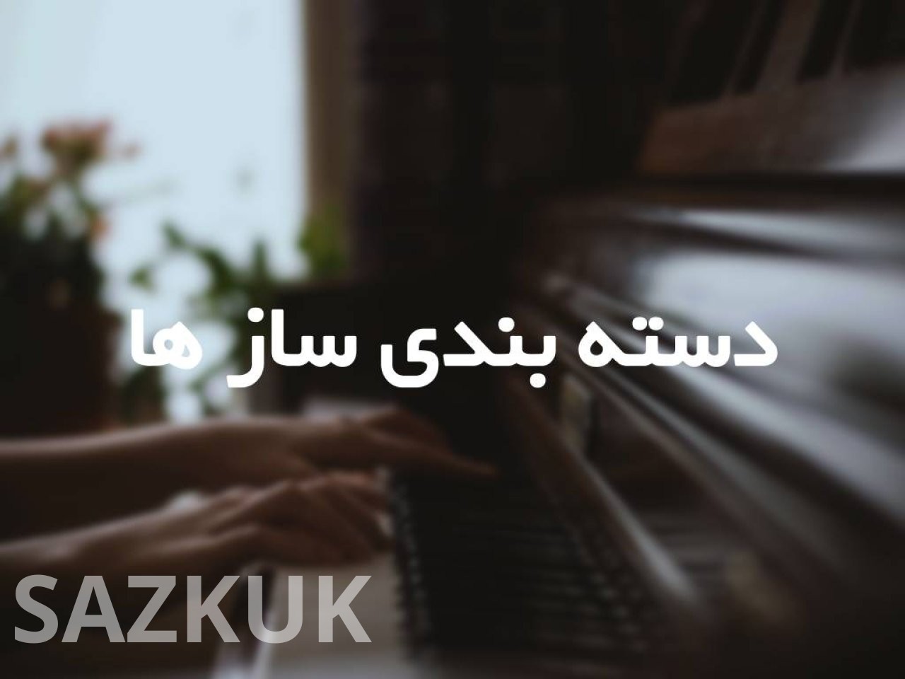 دسته بندی ساز ها