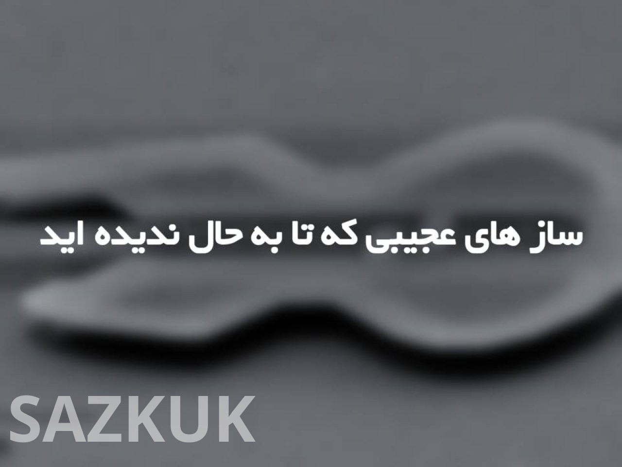 ساز های عجیبی که تا به حال ندیده اید!